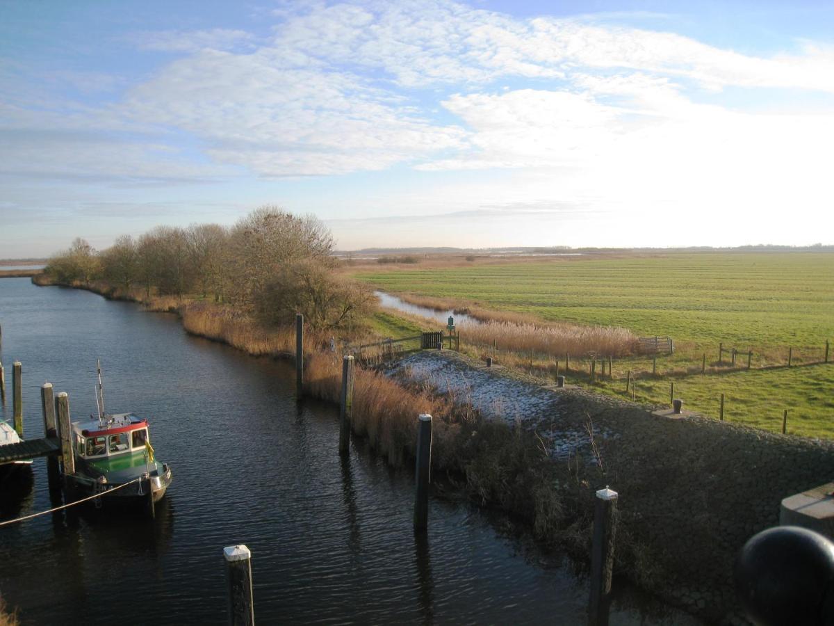 Haus Kormoran Am Lauwersmeer 175 Anjum Dış mekan fotoğraf
